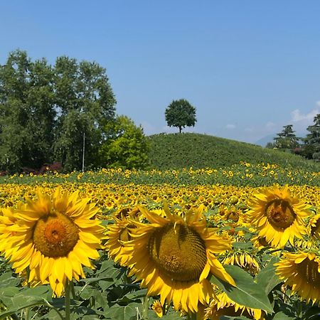 Borghetto San Biagio Relais Agriturismo Bed and Breakfast Thiene Exterior foto